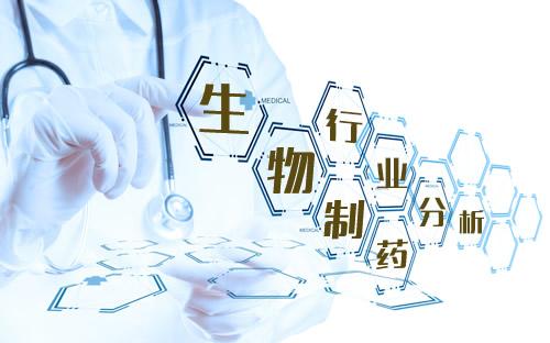 技術(shù)咨詢服務(wù)